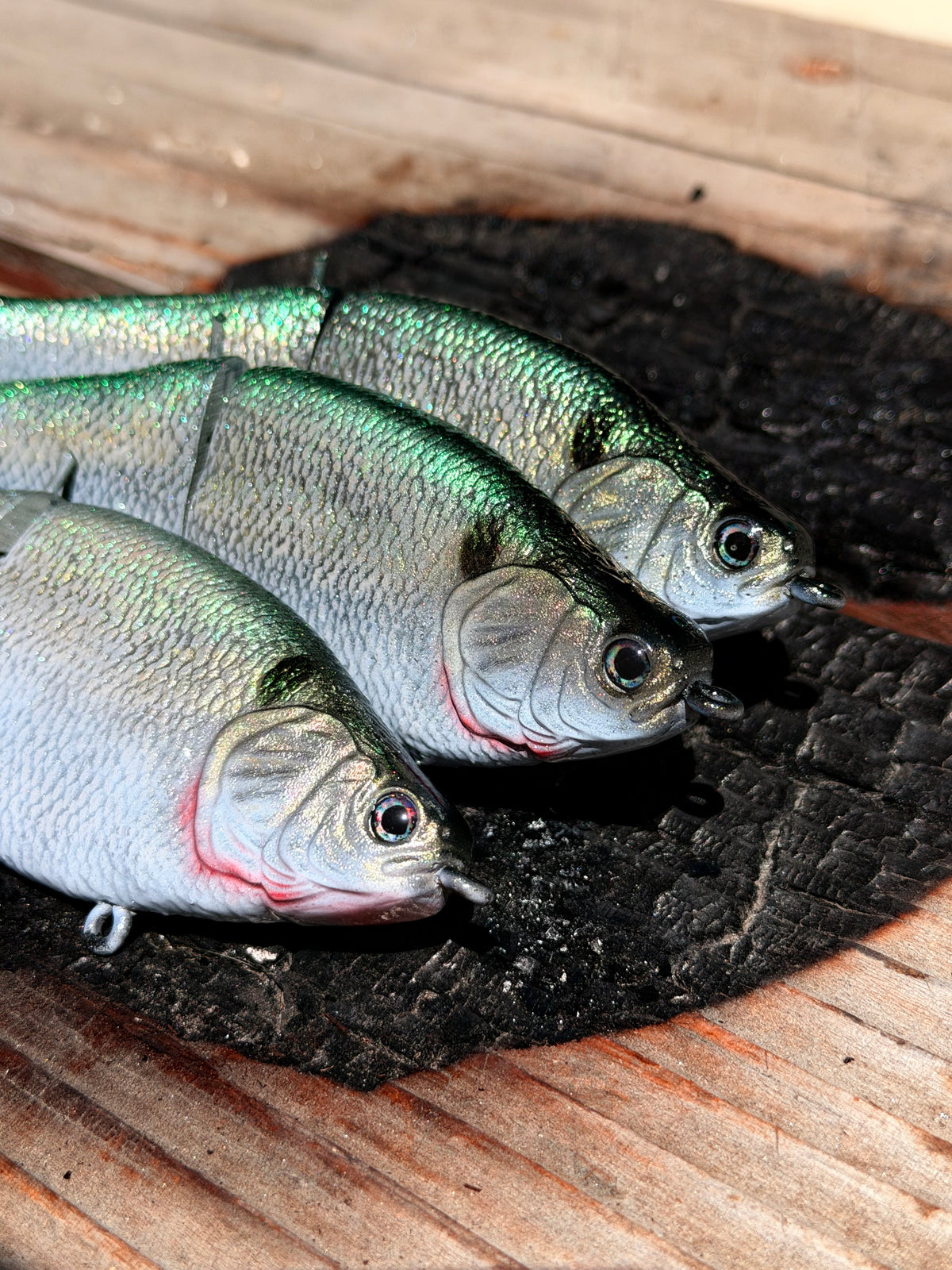 AyZ6 (Threadfin Shad) preorder