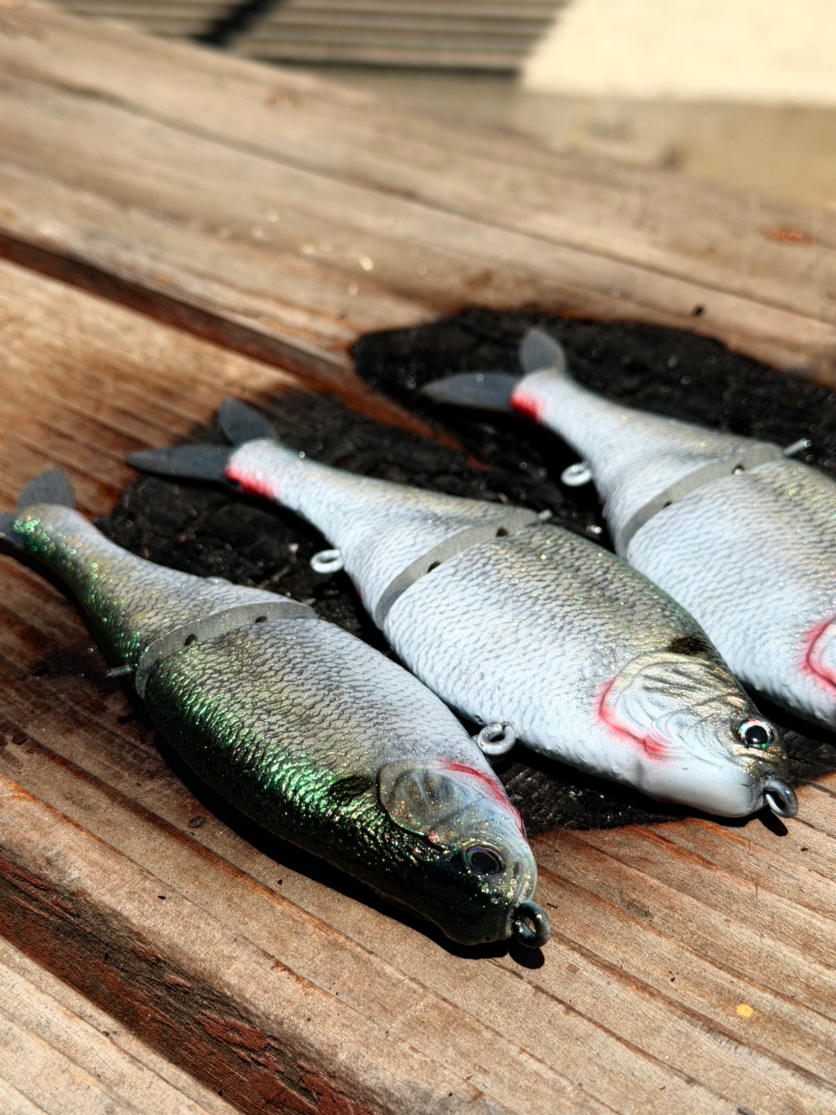 AyZ6 (Threadfin Shad) preorder