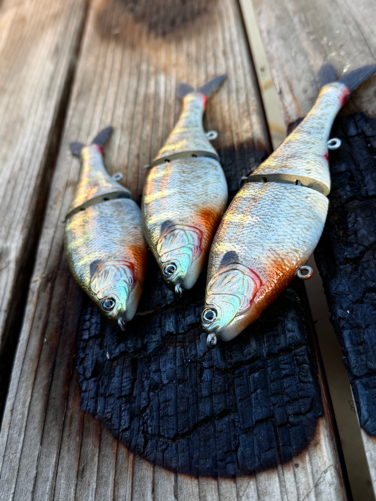 AyZ6 (Bluegill) preorder