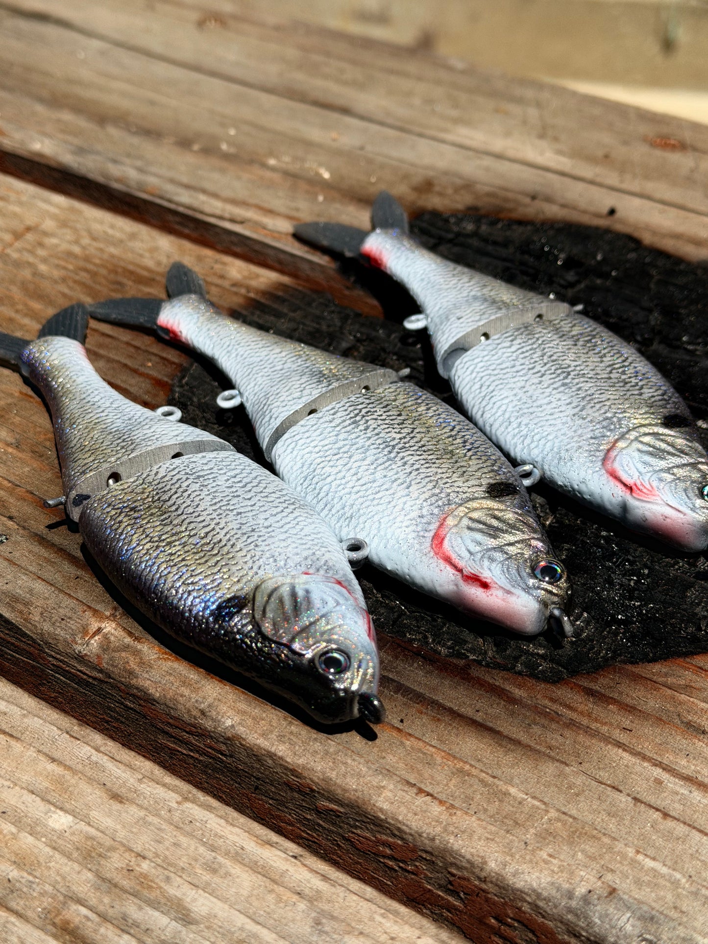 AyZ6 (American Shad) preorder