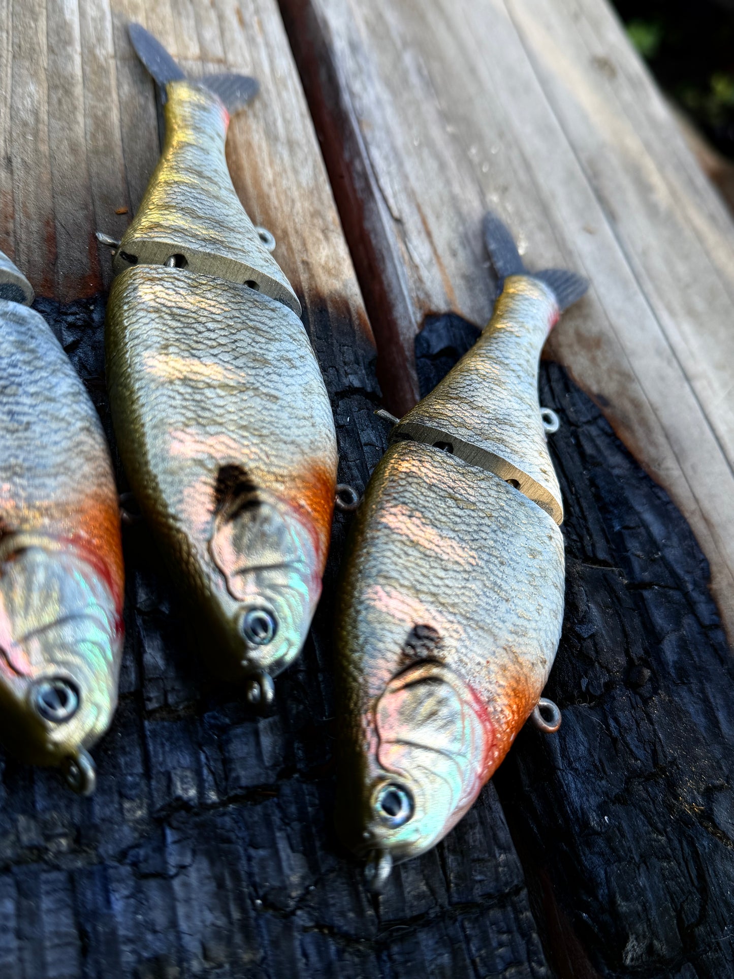 AyZ6 (Bluegill) preorder