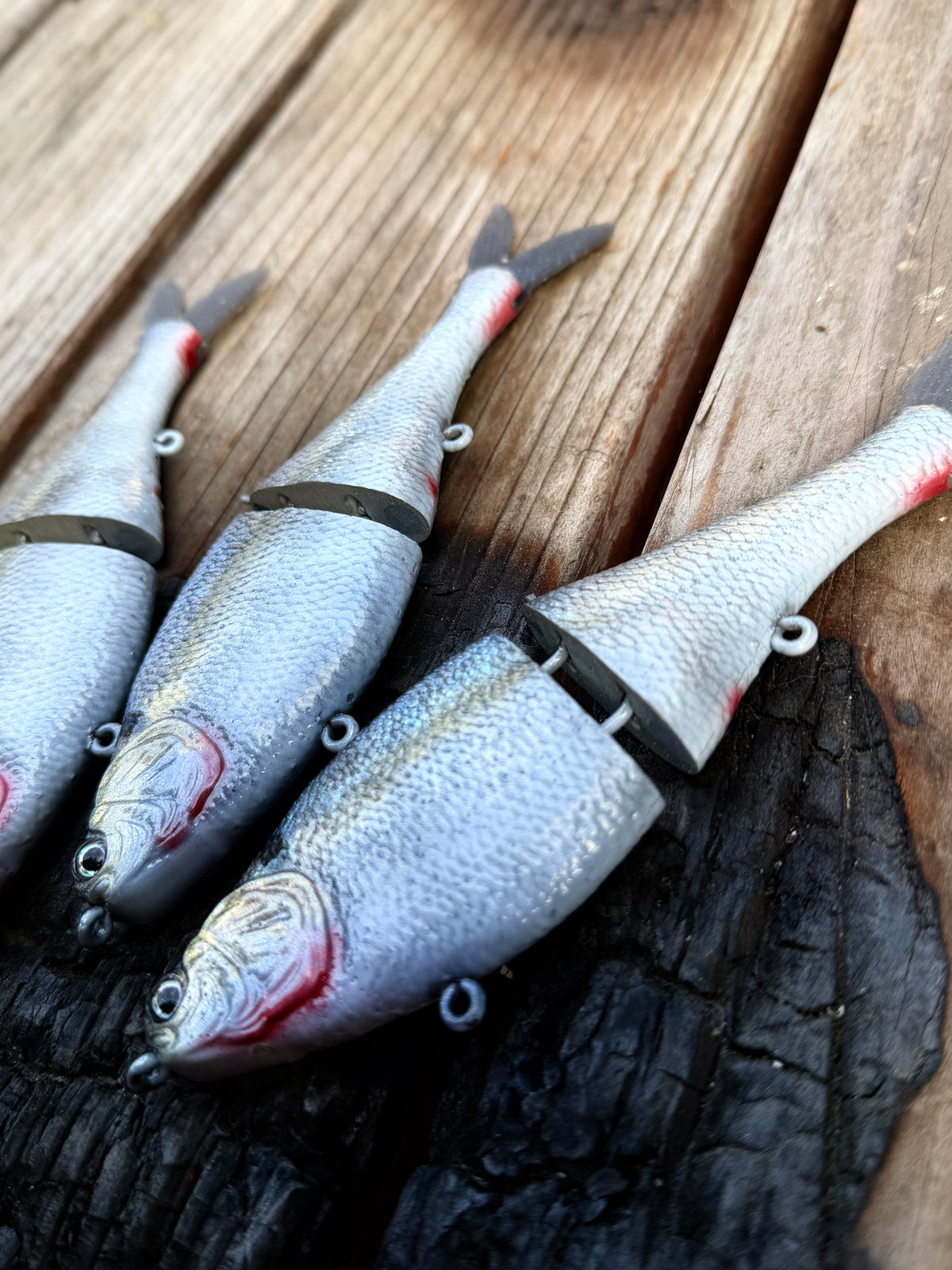 AyZ6 (Threadfin Shad) preorder