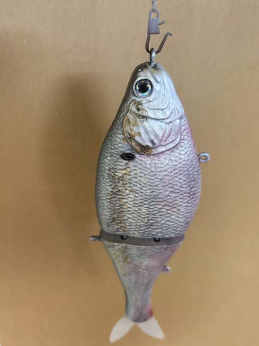 AyZ Glide (Threadfin Shad) preorder