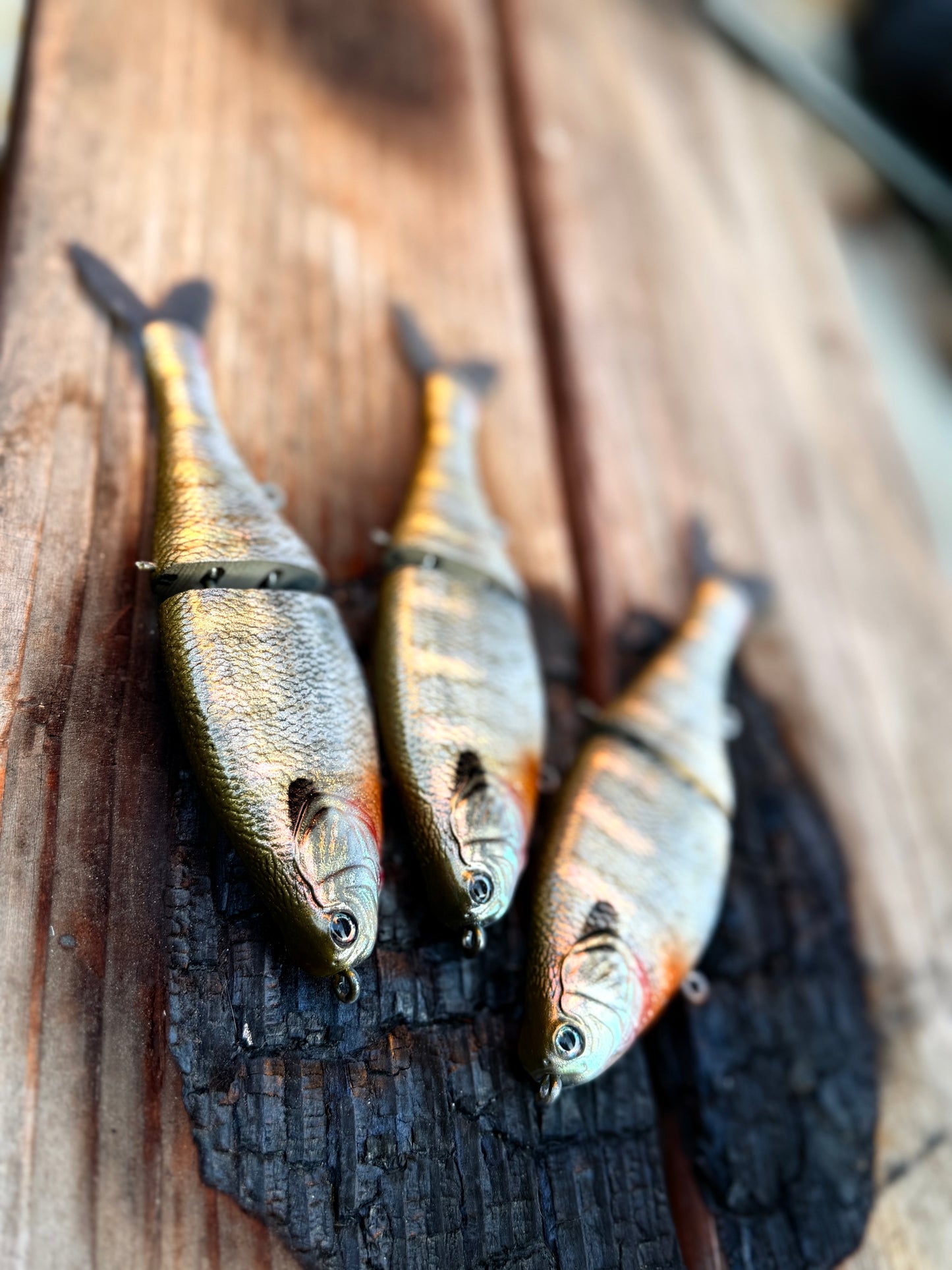 AyZ6 (Bluegill) preorder