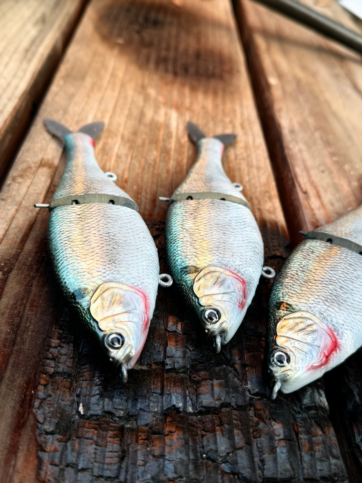 AyZ6 (Threadfin Shad) preorder