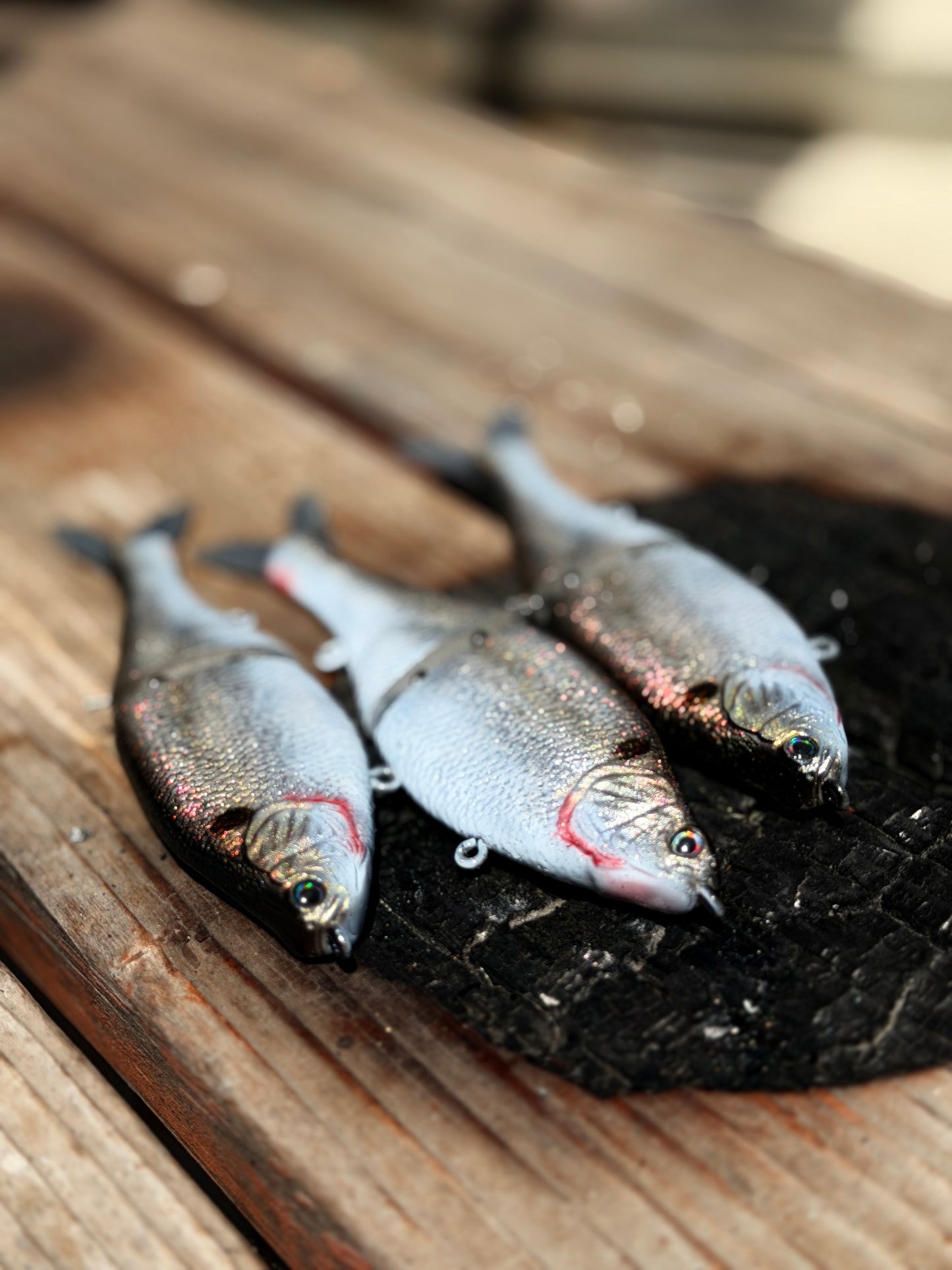 AyZ6 (Gizzard Shad) preorder