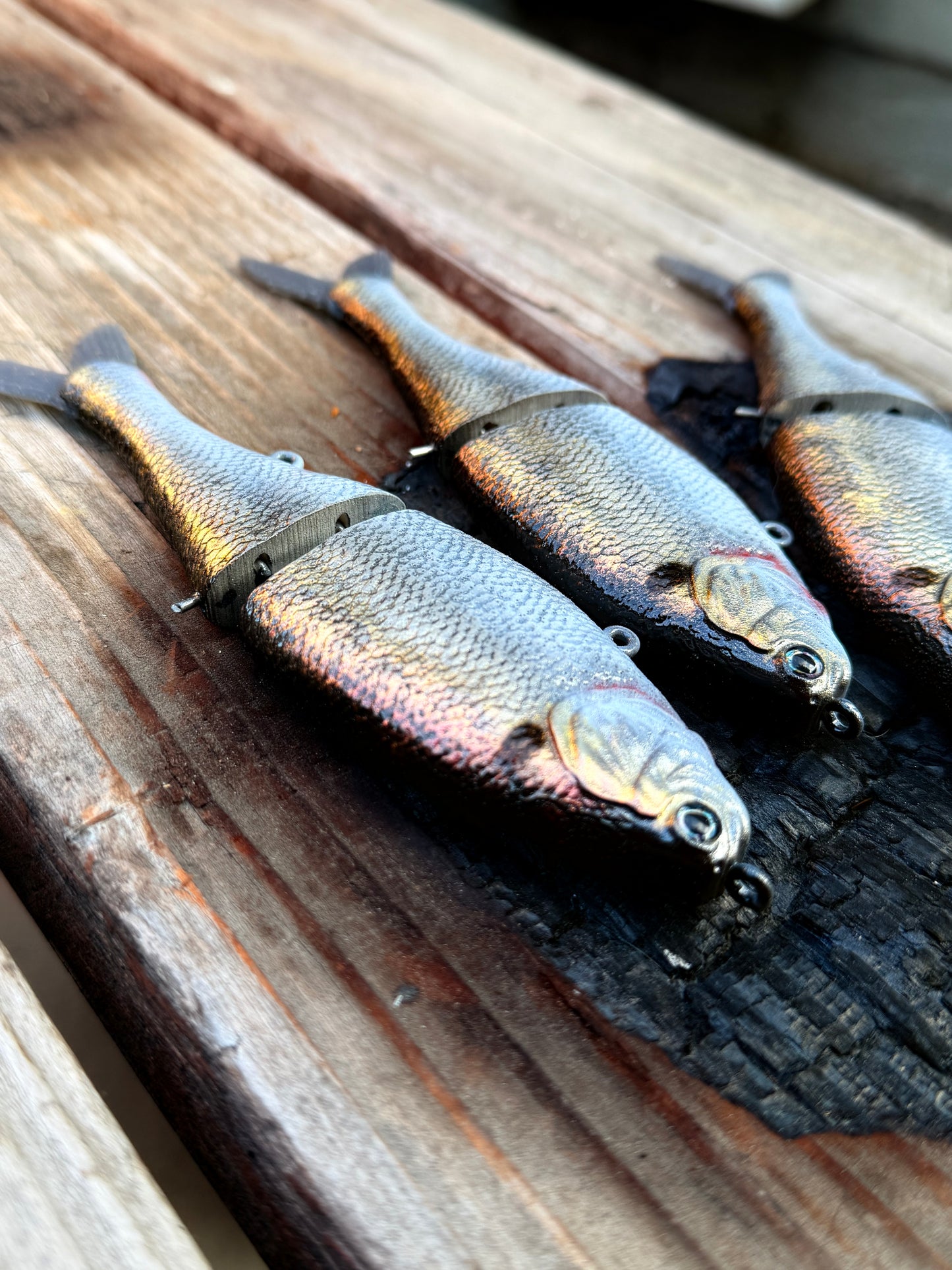 AyZ6 (Gizzard Shad) preorder