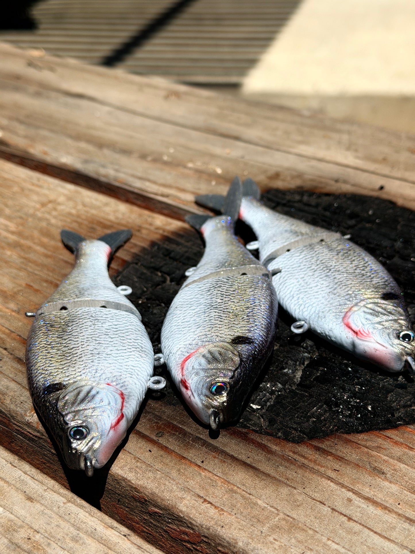 AyZ6 (American Shad) preorder
