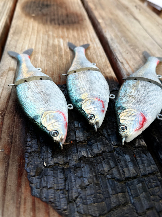 AyZ6 (Threadfin Shad) preorder