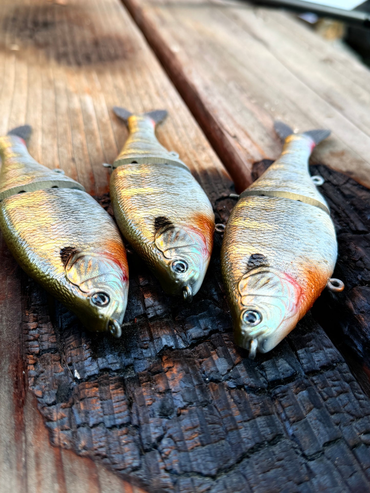 AyZ6 (Bluegill) preorder