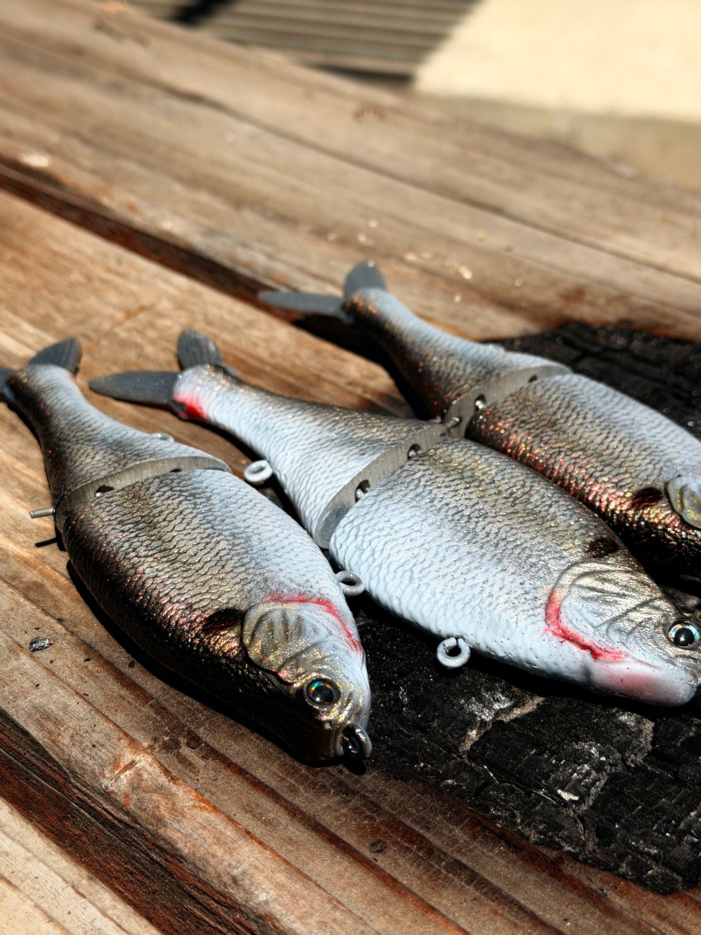 AyZ6 (Gizzard Shad) preorder